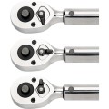 Bahco - Klucz dynamometryczny z grzechotką 1/4 " 4-20 Nm 7455-20
